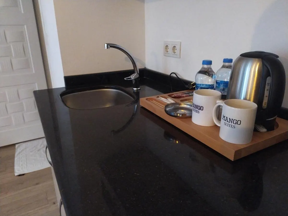 Mango Suites Istanbul Apartment